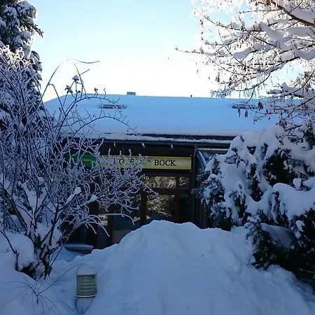 Schneiderlein Limabach - Oberfrohna