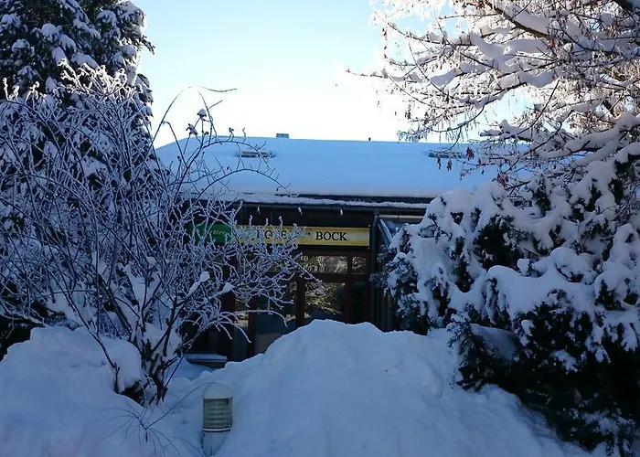 Schneiderlein Лимбах-Оберфрона