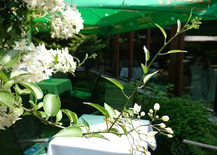 ホテル Schneiderlein